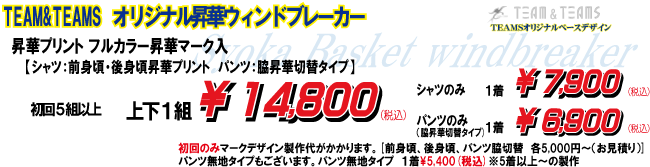 sybr_other_kakaku