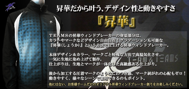 sybr_point2