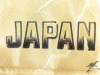 3DDX昇華ユニフォームシャツ INAZUMA［RAIZINシリーズ］デザイン見本 3dx-1 p39