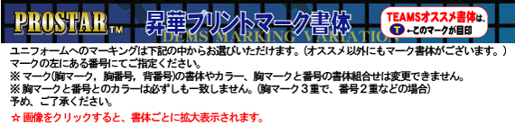 PROSTAR 昇華マーキング 書体