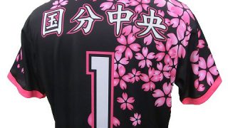 楽天市場】【ふるさと納税】＜数量限定＞V3参戦決定