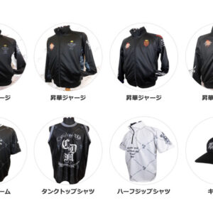 Catalog collage of eight apparel items: four sublimation jerseys on top row, and bottom row showing a uniform, tank-top shirt, half-zip shirt, and a cap, each with Japanese captions beneath.